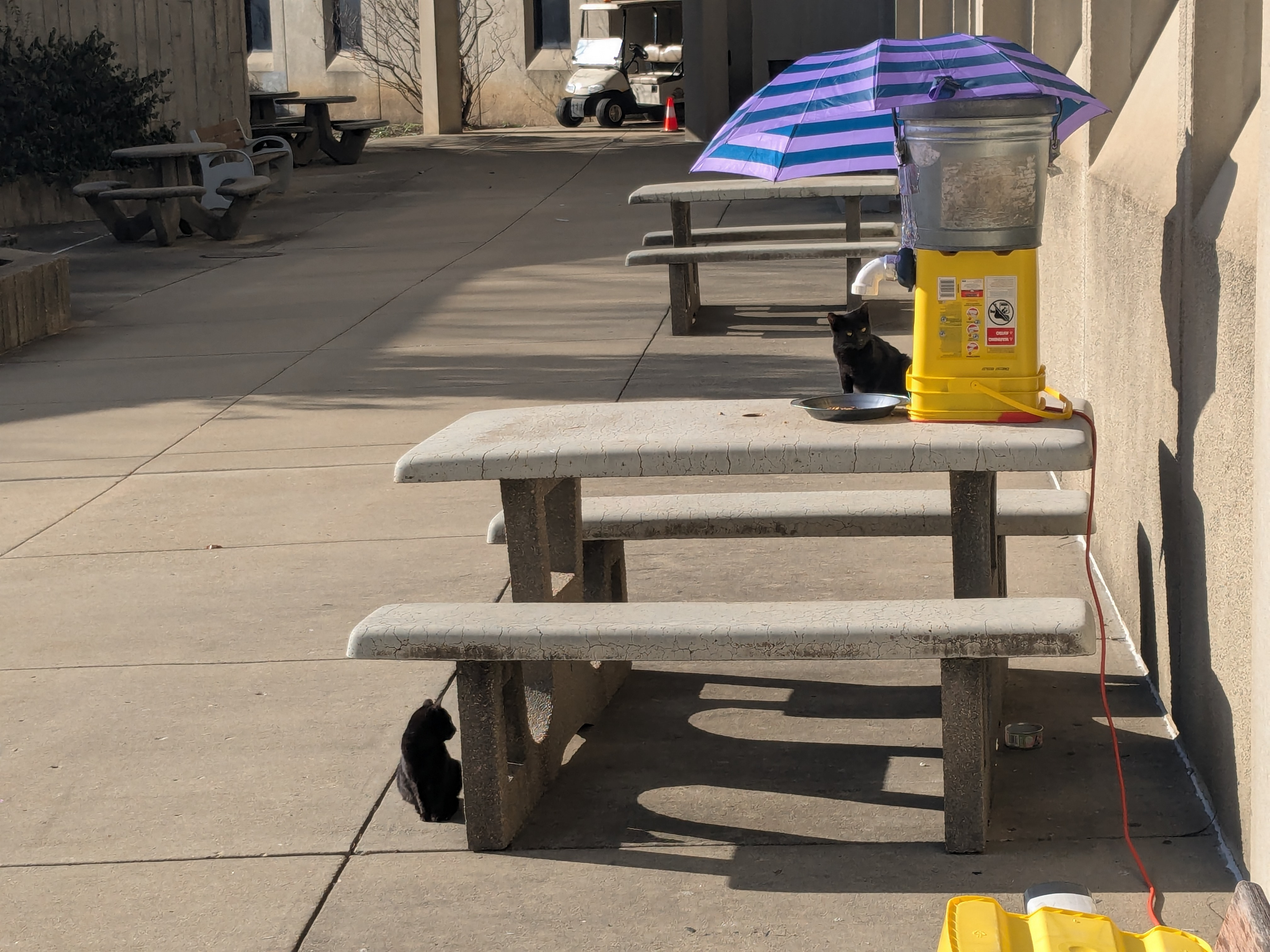 A cat feeder made with a yellow bucket, a silver bucket, and an umbrella