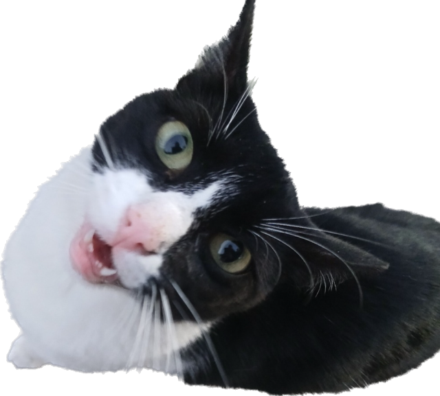 Enjoying Myself - Aaron