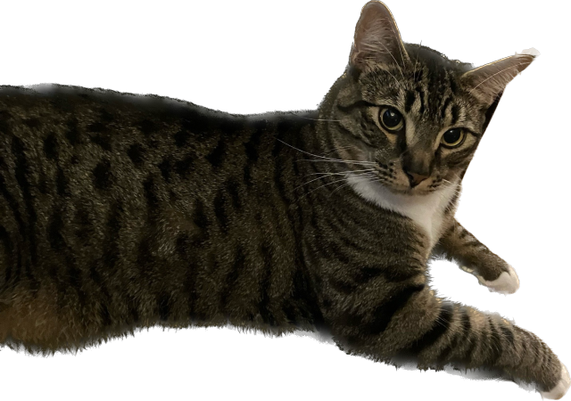 More to the Point - Aaron