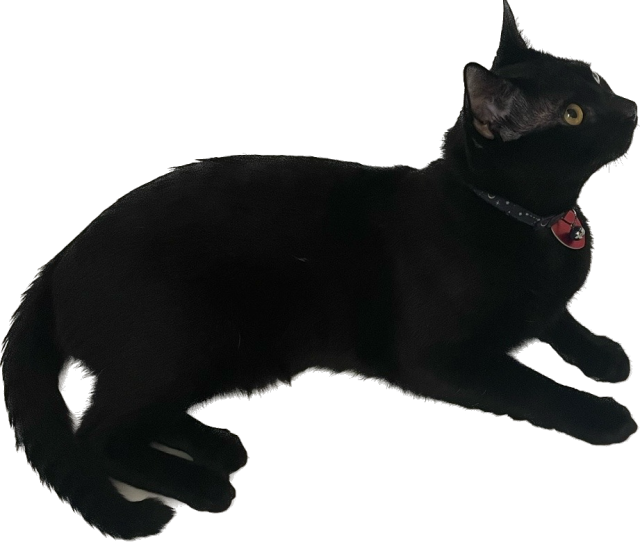 Only on Tuesday - Aaron