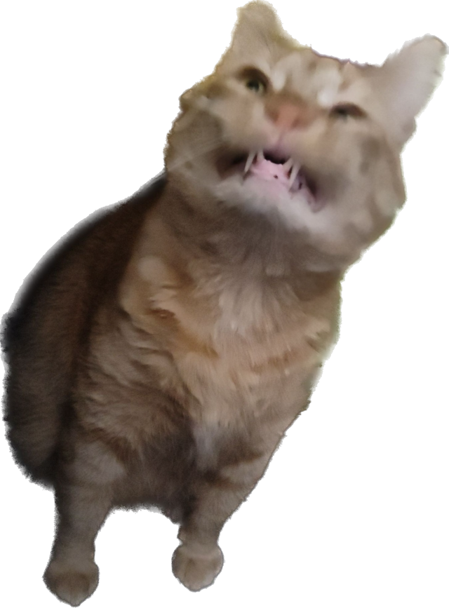 Photographer - Aaron