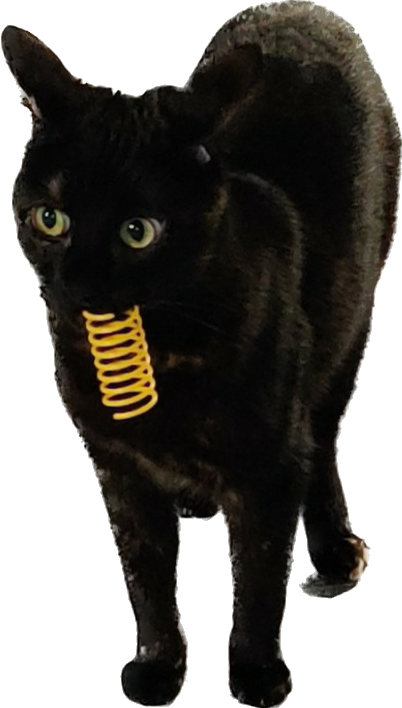 Double Power - Aaron