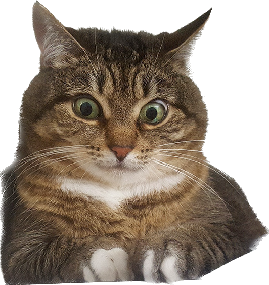 Off the Wall - Aaron