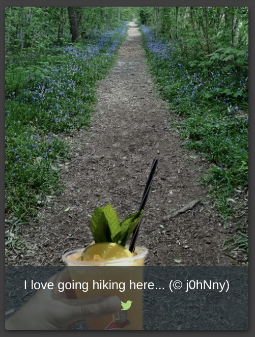 He’s holding a smoothie, in the woods.